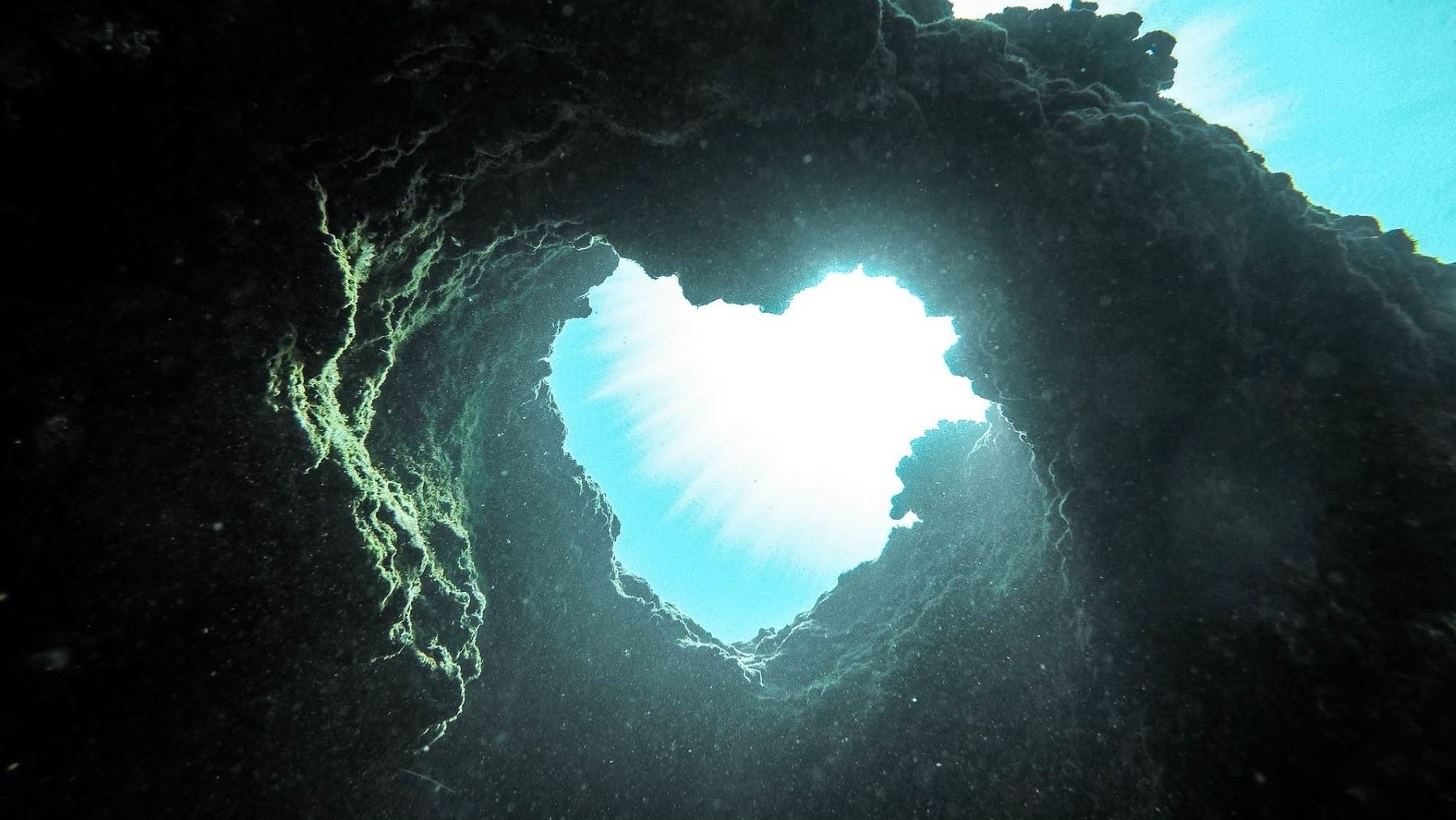 Descubren ecosistema sin metano en la fosa Perú-Chile con microorganismos únicos