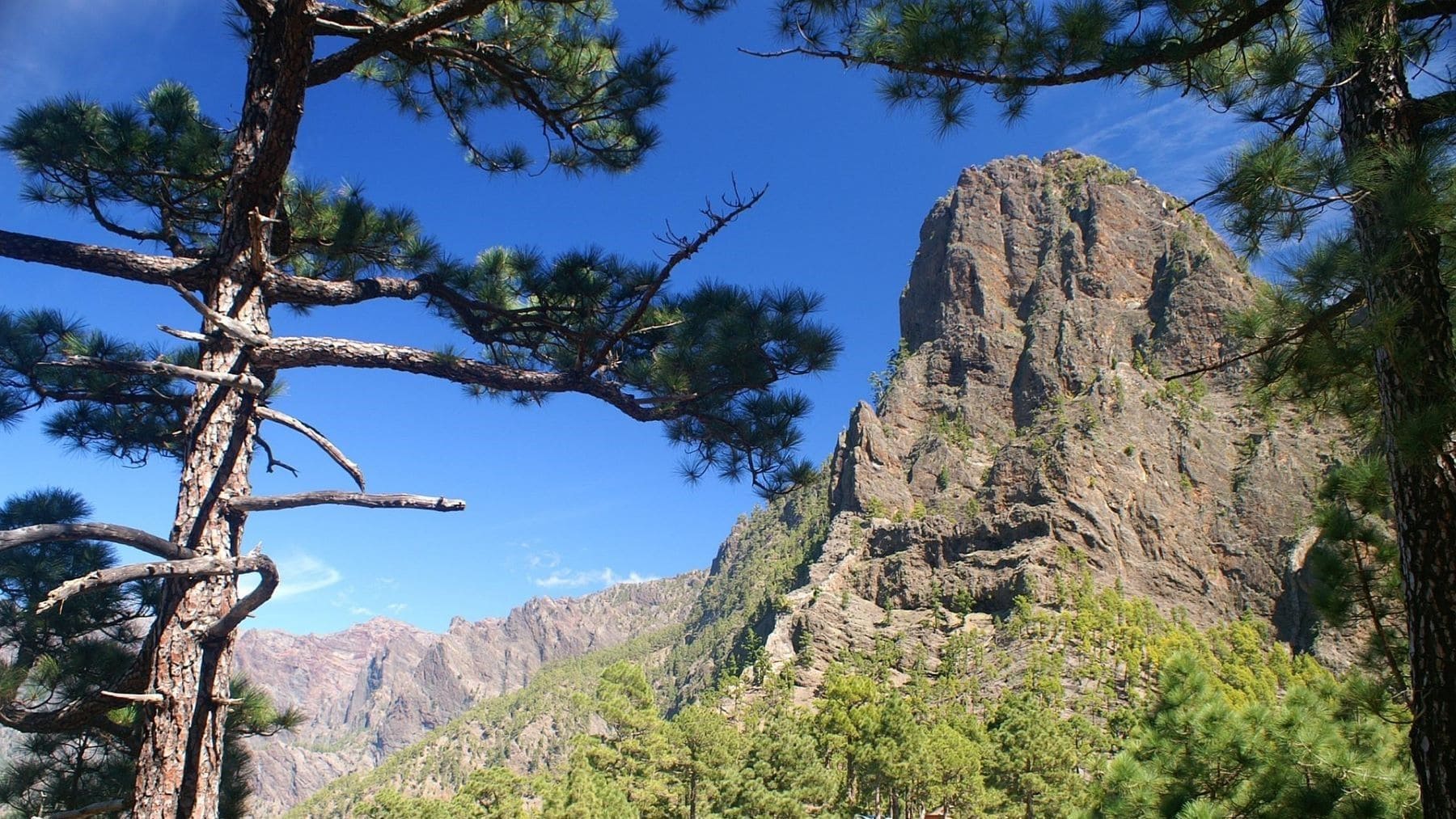 Canarias reinicia ley de biodiversidad y recursos naturales por vía urgente
