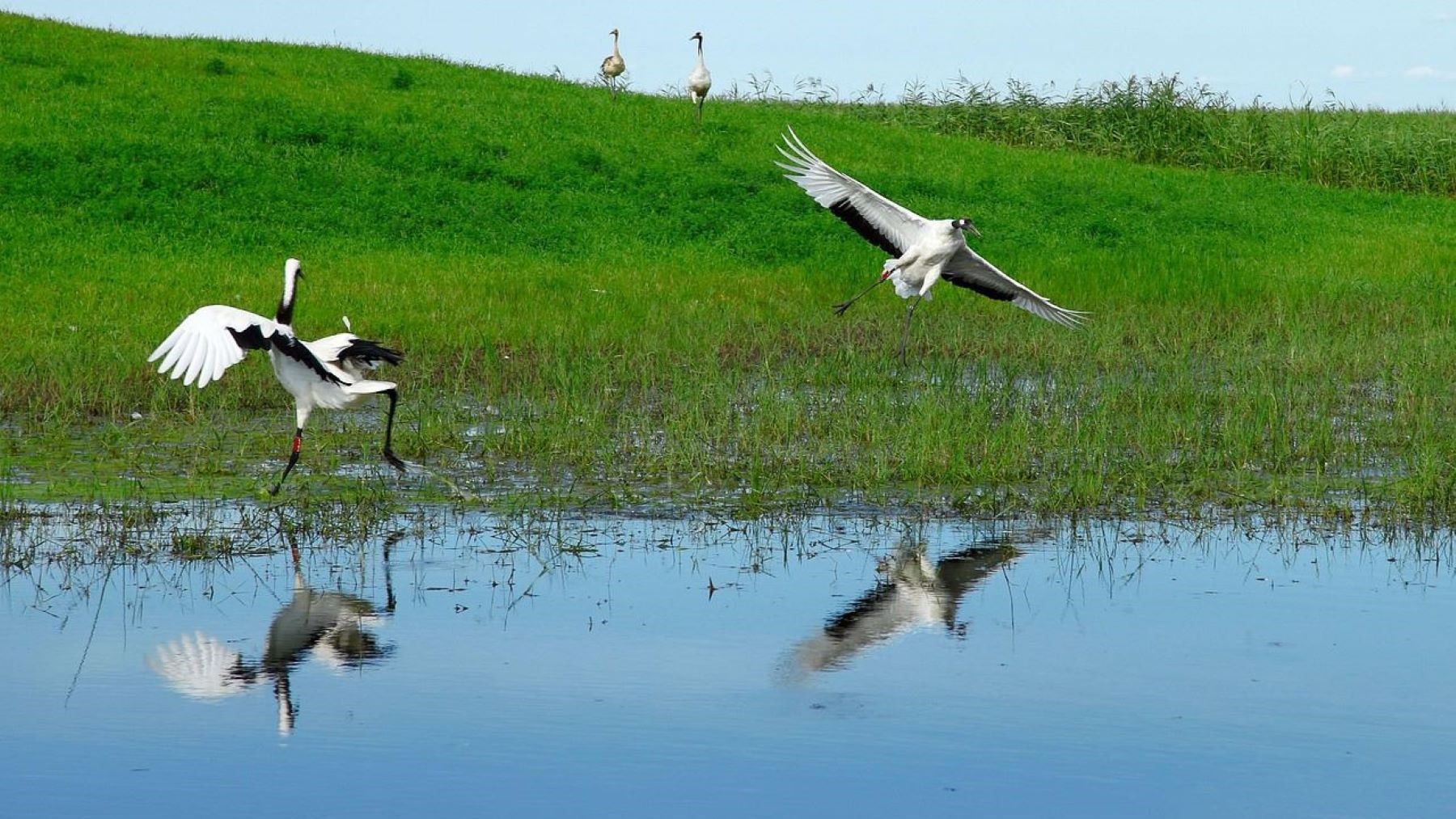 El Plan Especial del Alto Guadiana impulsa la sostenibilidad de los acuíferos en Castilla-La Mancha como modelo hídrico