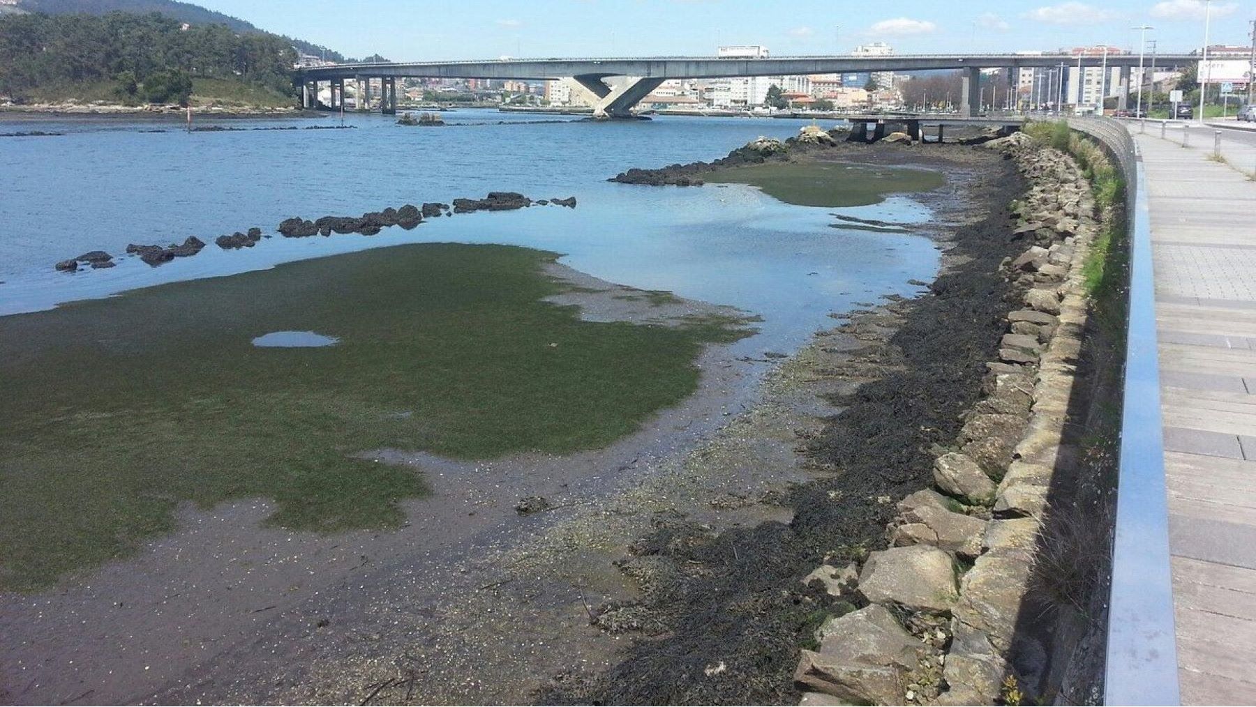 El dragado del río Lérez se retrasa por nuevos estudios ambientales exigidos por el Gobierno