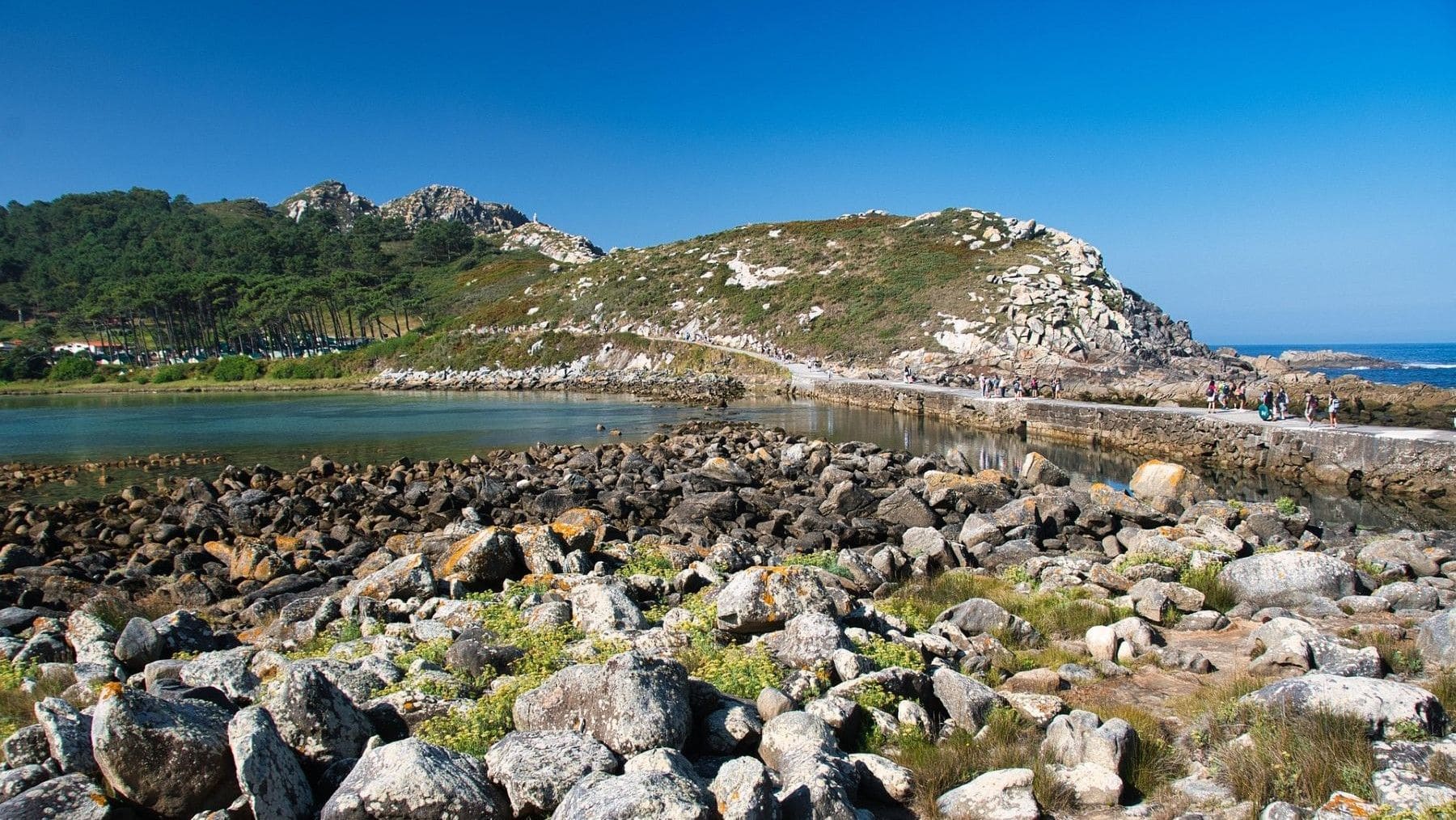 La eliminación de especies invasoras en las islas Cíes y Corrubedo para proteger la biodiversidad