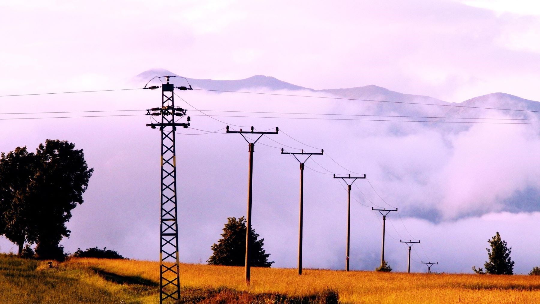 Extremadura concede ayudas para biodiversidad agraria mientras crece la recarga eléctrica en explotaciones rurales