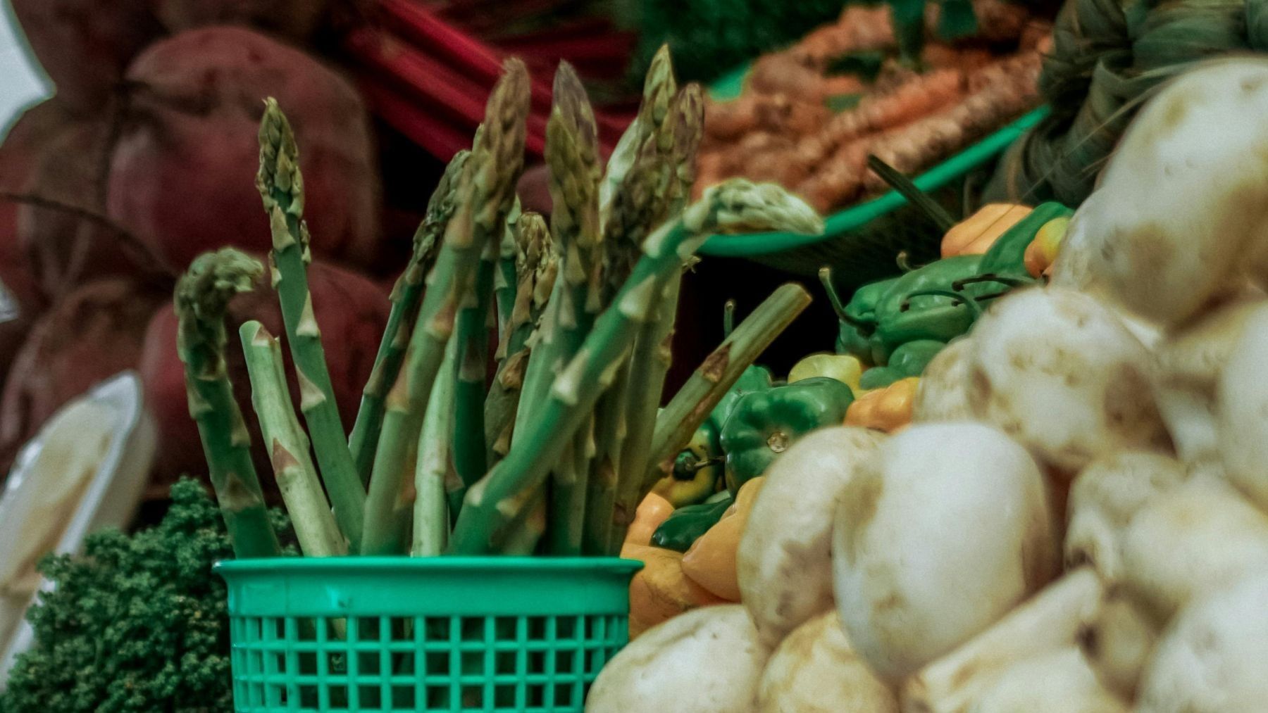 BioCantabria reúne productos ecológicos y consumo responsable en Santander