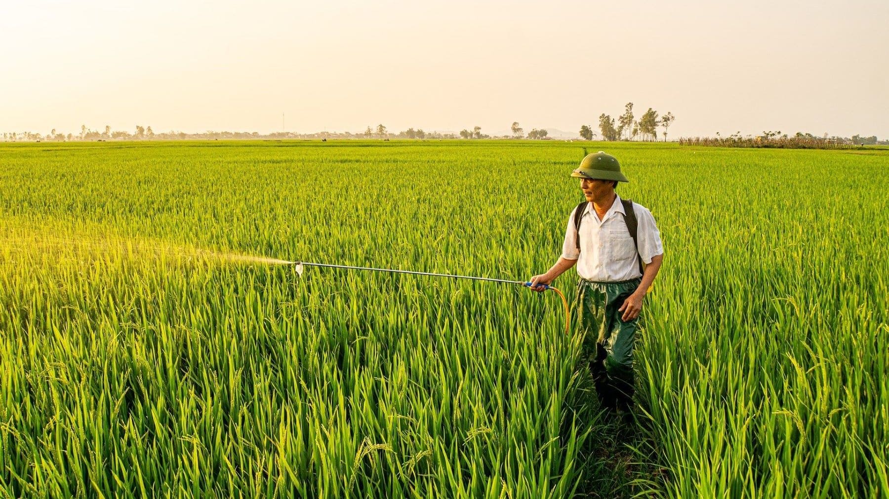 CTC desarrolla fertilizantes inteligentes con nanotecnología para una agricultura más sostenible