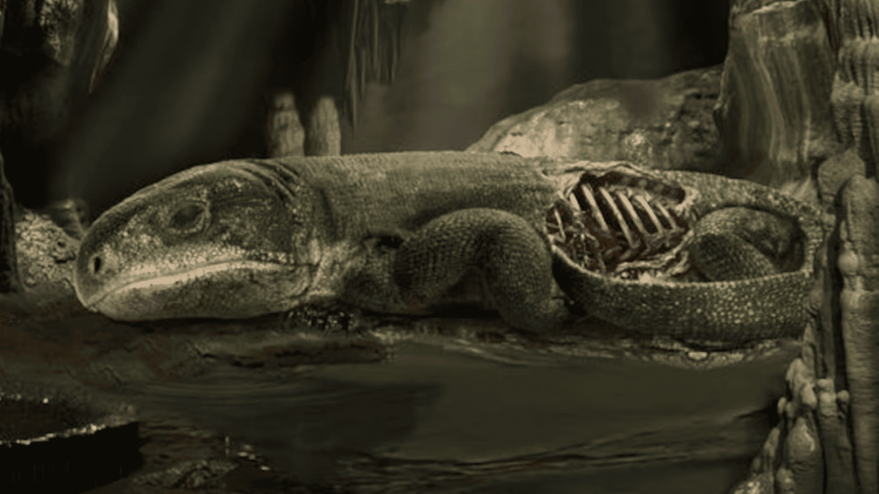 Descubren el sistema respiratorio más antiguo en un fósil de hace 289 millones de años