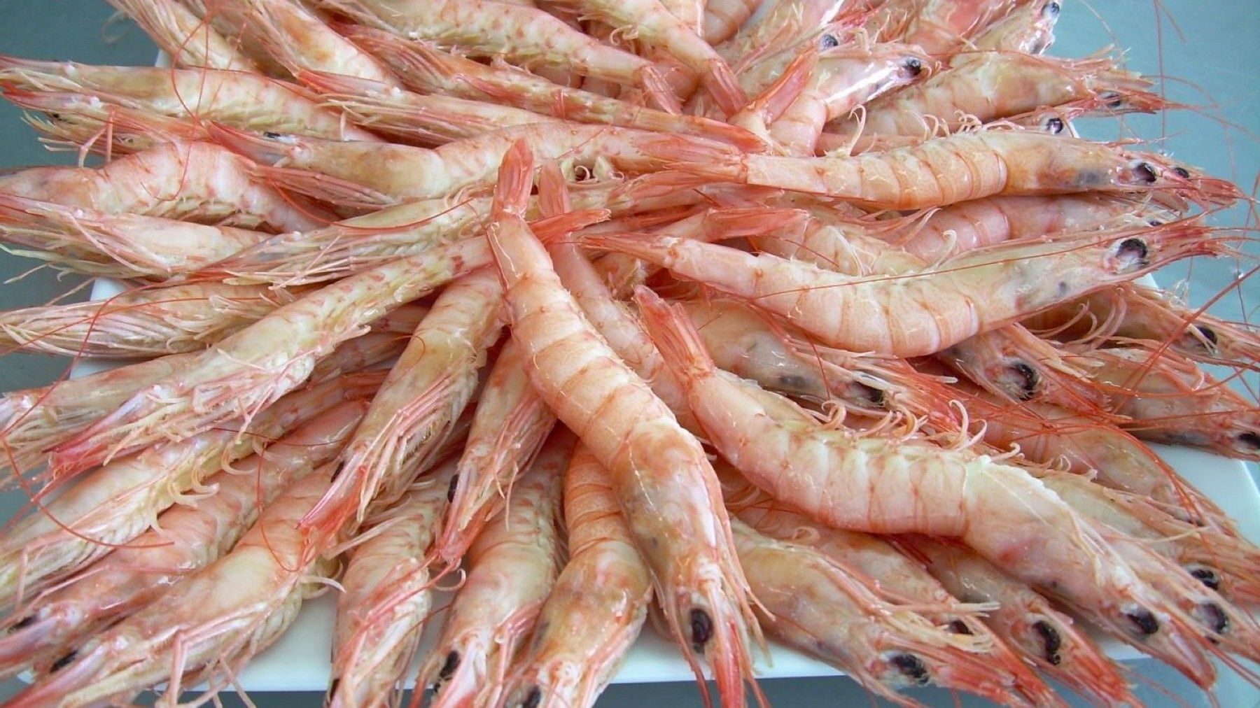 Gamba blanca de Huelva sostenible con certificación Friend of the Sea