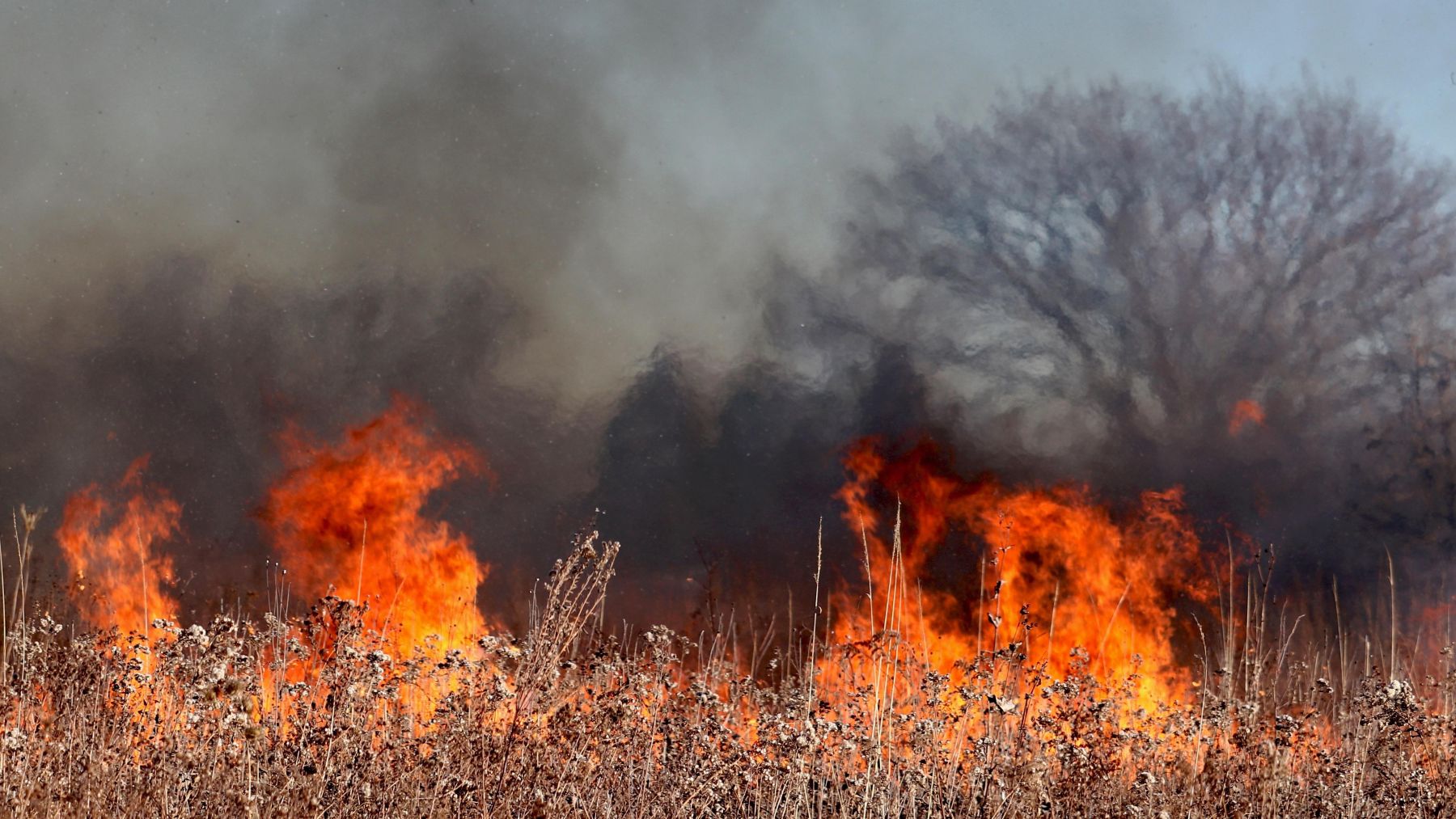 Incendios Forestales en Cantabria