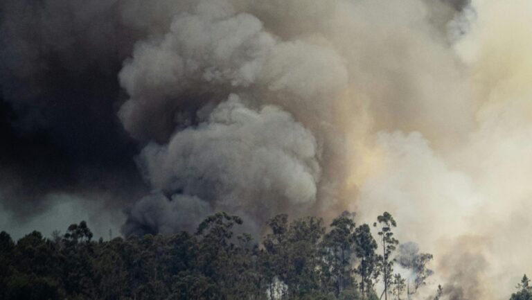 cambio climático en España 2025 incendios olas de calor