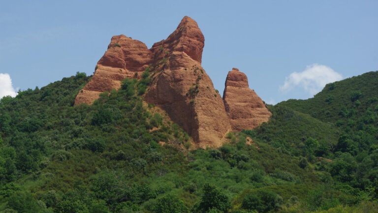 El Bierzo se convierte en laboratorio forestal para combatir plagas y el cambio climático