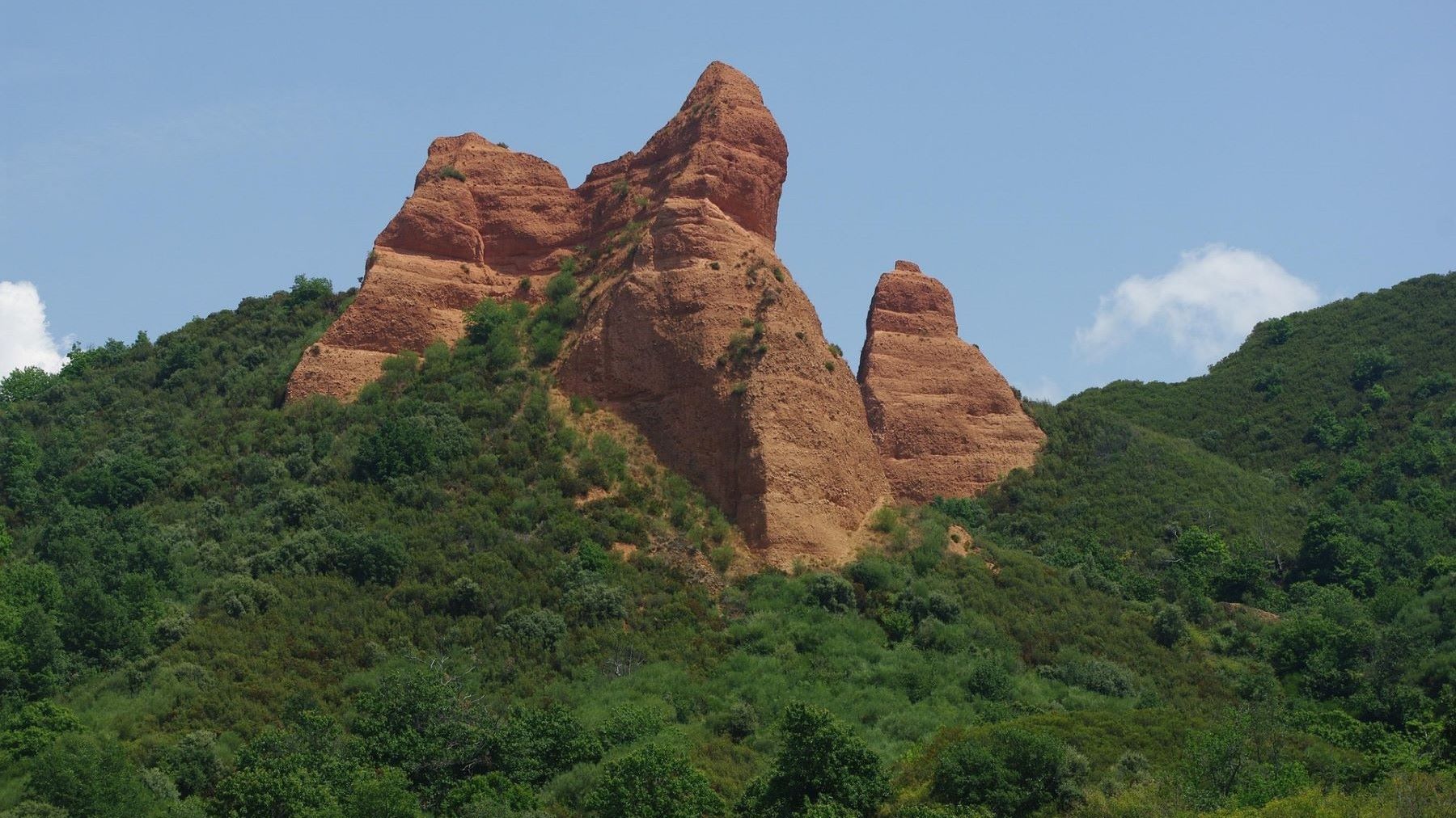 El Bierzo se convierte en laboratorio forestal para combatir plagas y el cambio climático