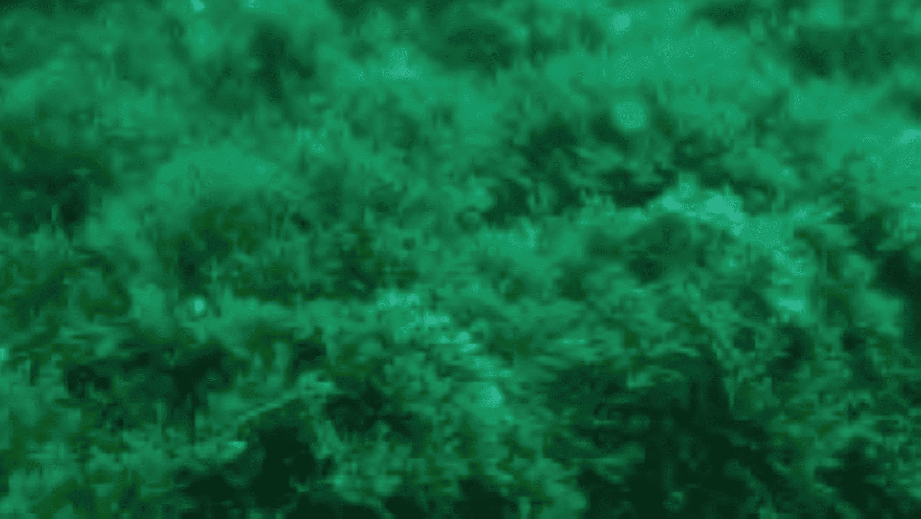 alga asiática en Andalucía