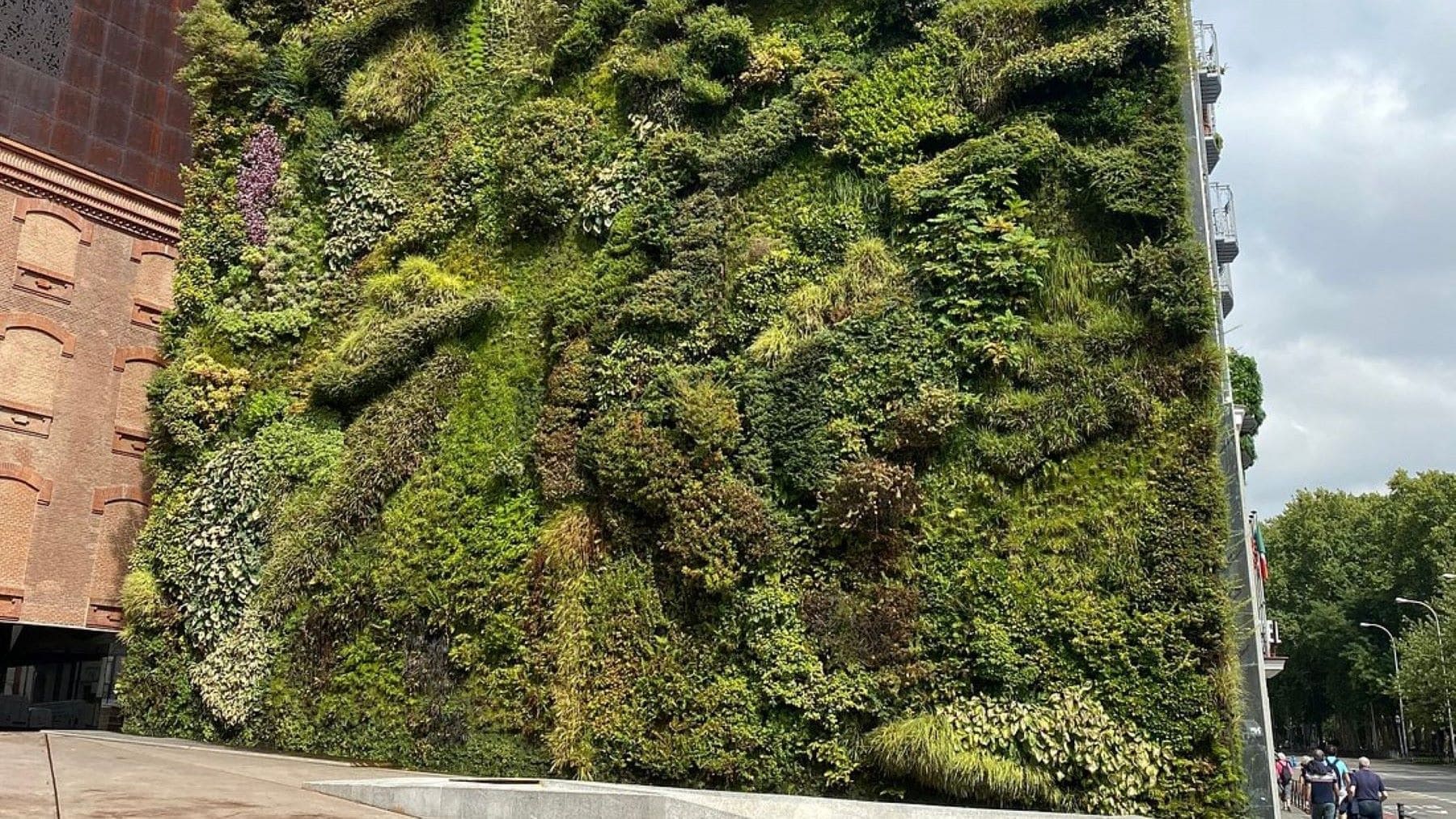 Madrid instalará jardines verticales en la M-30 para mejorar el aire y reducir el calor