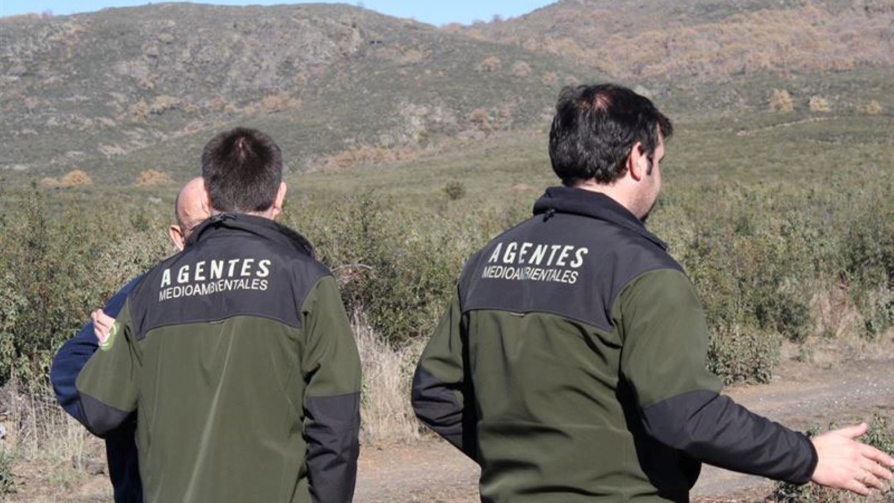 Agentes medioambientales impulsan la investigación de incendios forestales en España