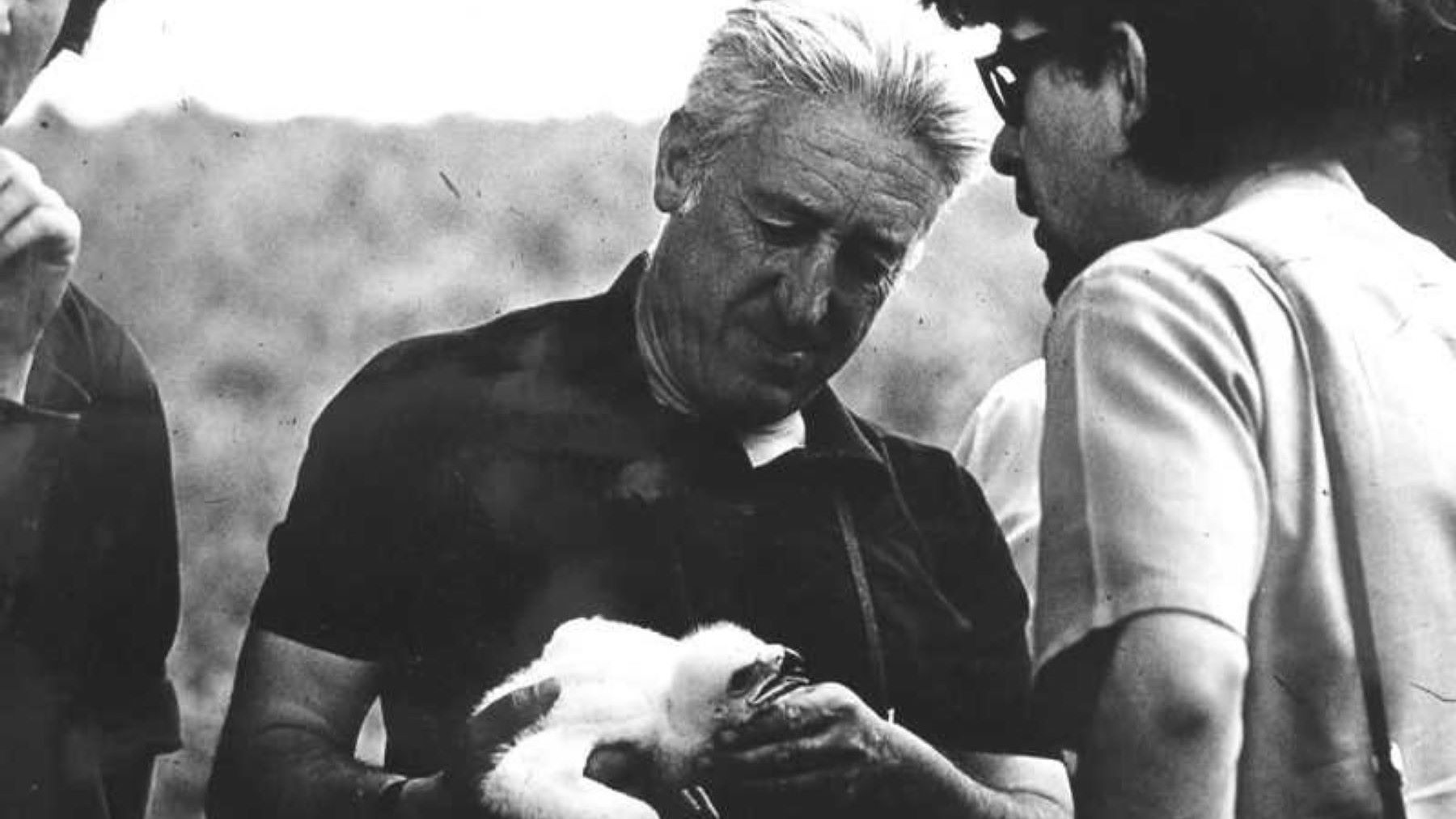 José Antonio Valverde fundador de Doñana y padre de la conservación científica en España archivo