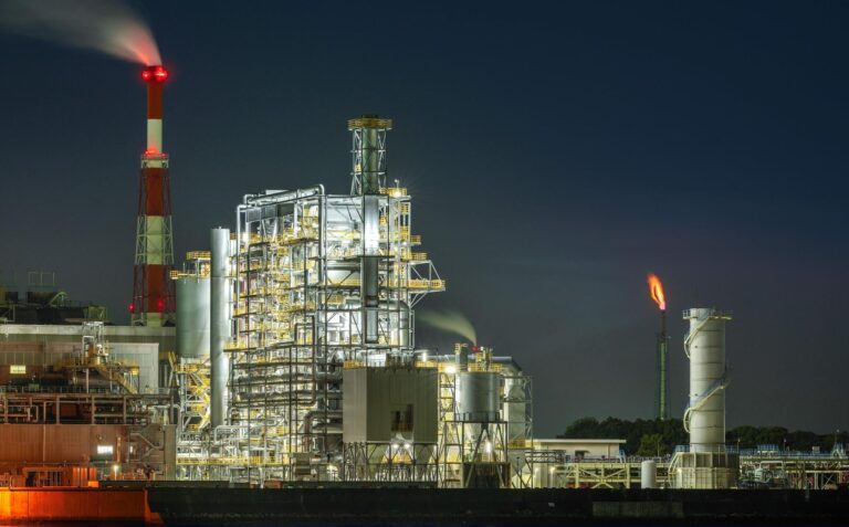 Las centrales de combustibles fósiles matan 30 veces más aves que los parques eólicos según la Comisión Europea