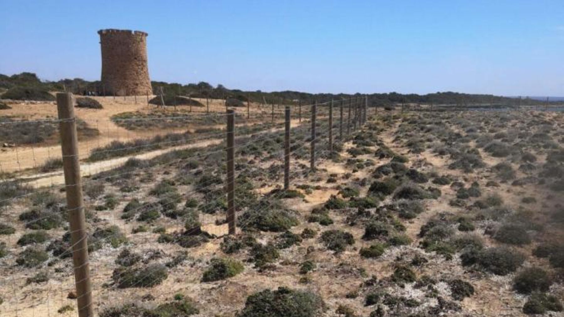 El cierre del litoral en Llucmajor amenaza hábitats protegidos