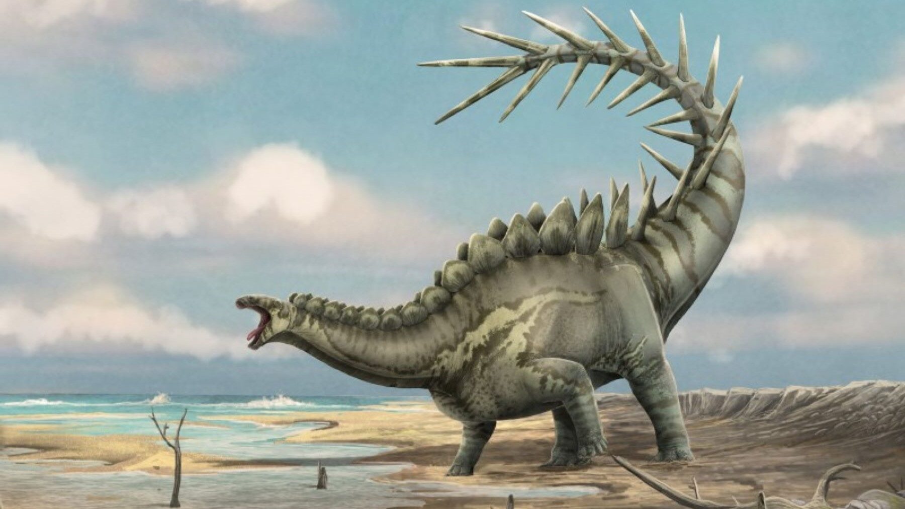 Un estudio revela que los estegosaurios del este de Iberia pertenecían a un único linaje costero