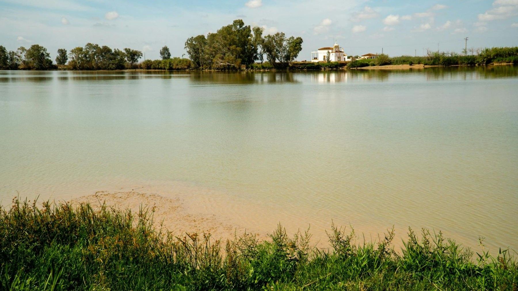 ecologistas rechazan la reapertura de la mina de Aznalcóllar