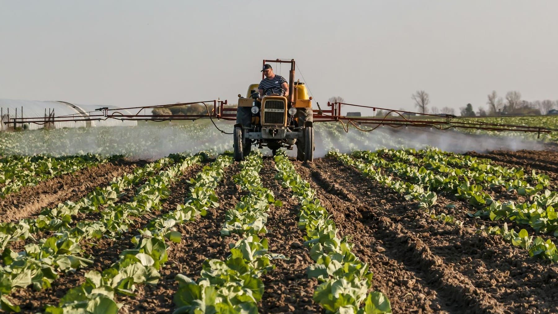 párkinson como enfermedad laboral por plaguicidas en España