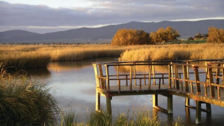 Impacto del biometano en humedales preocupa por riesgos para Las Tablas de Daimiel