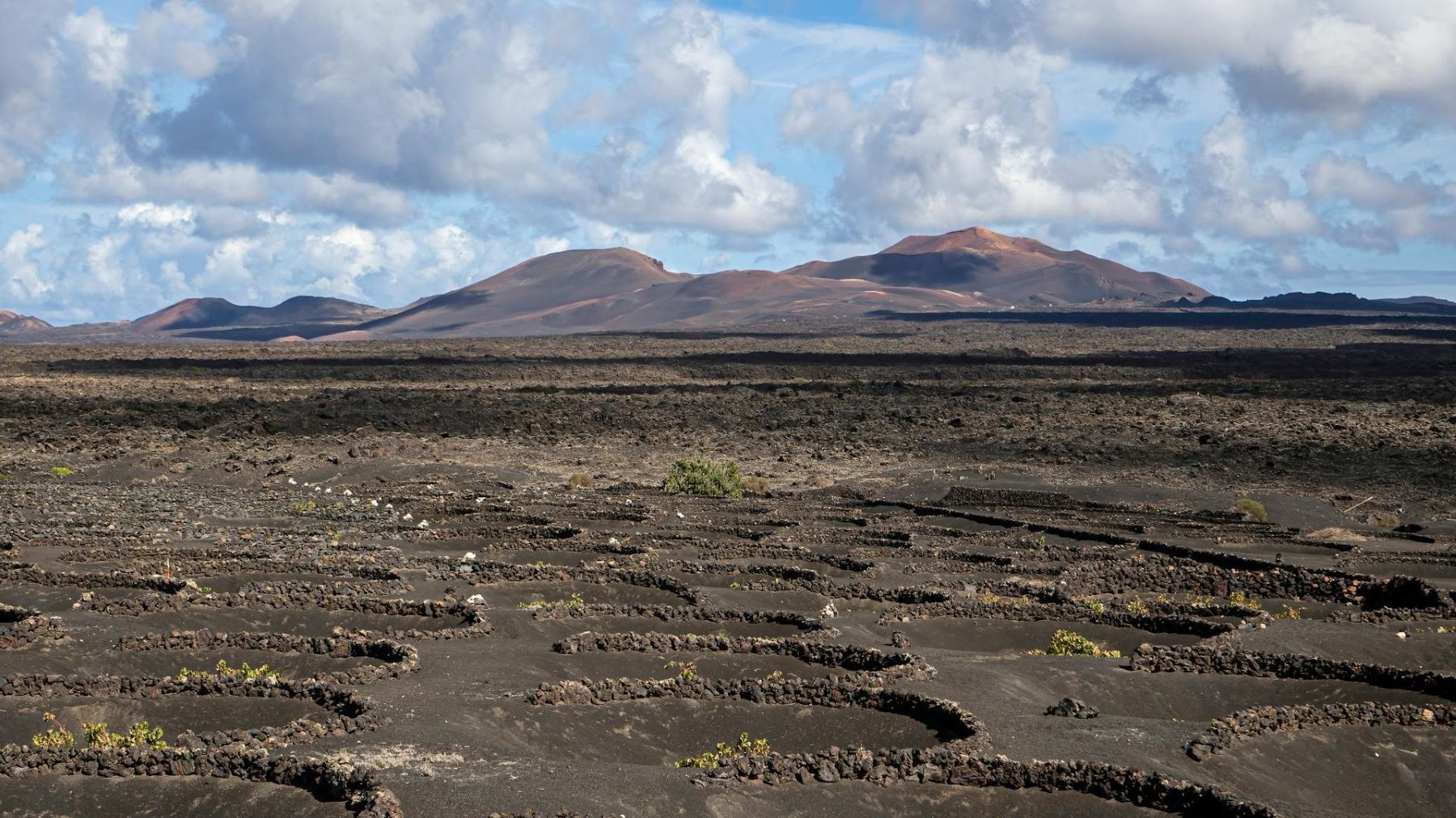 Canarias lanza la web oficial de sus parques nacionales