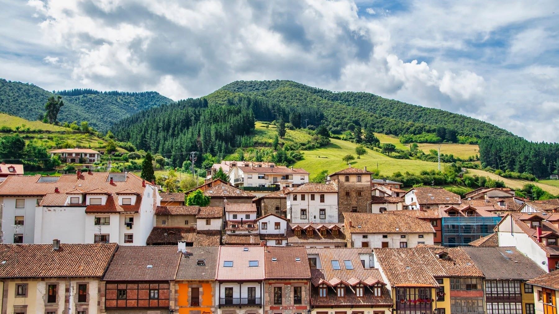 proyecto ForesteCCo para la infraestructura verde en España y adaptación al cambio climático bosque