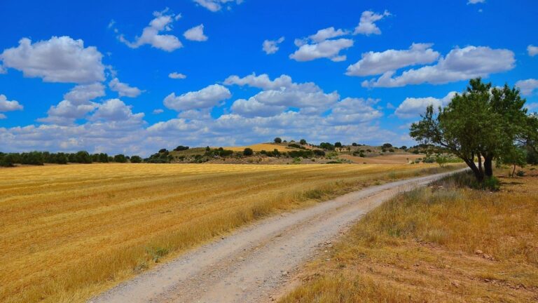 El MITECO aprueba el PAI de la Sierra de Alcaraz