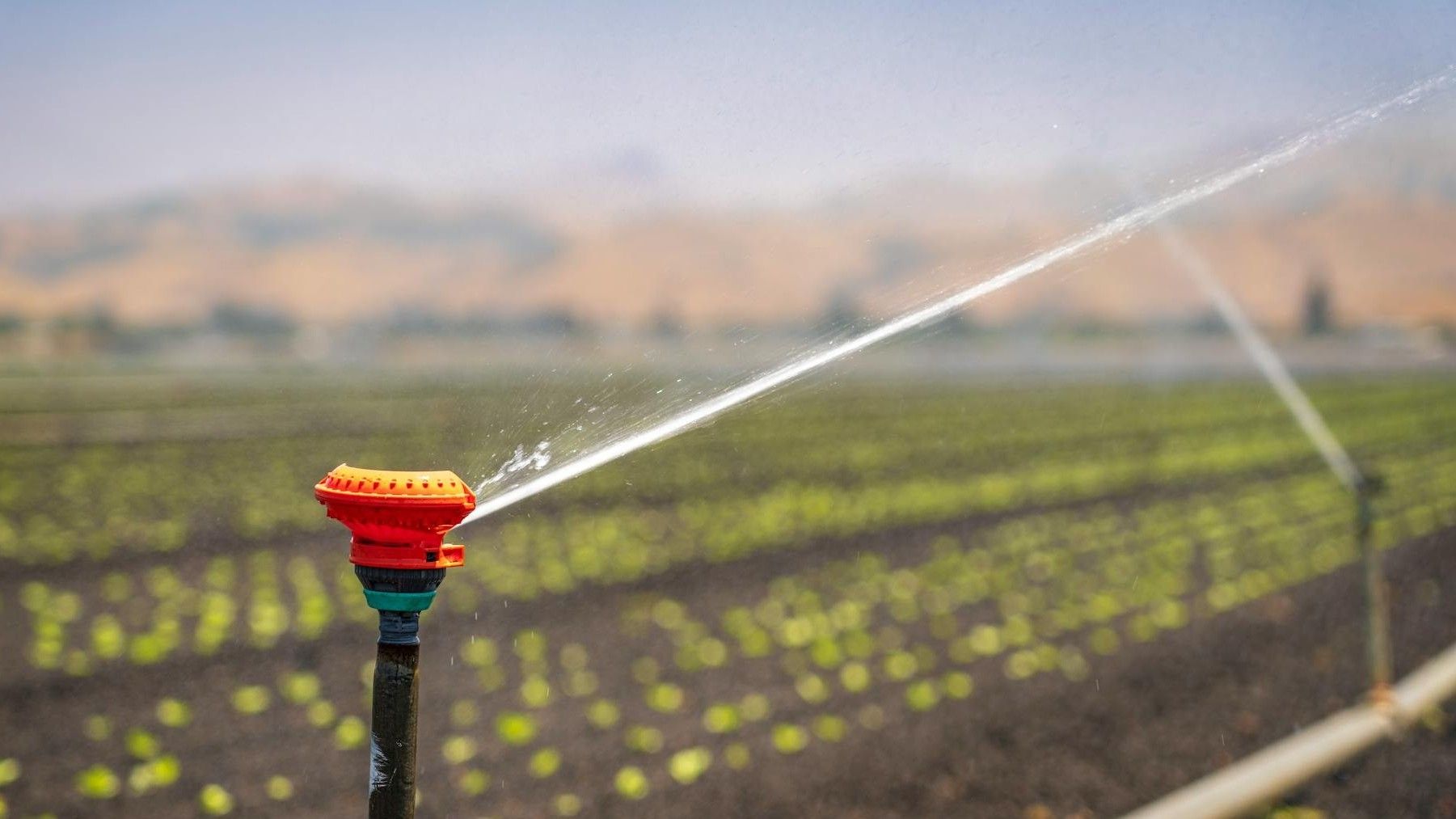 Recuperar nitrógeno y fósforo de aguas residuales urbanas para crear fertilizantes sostenibles