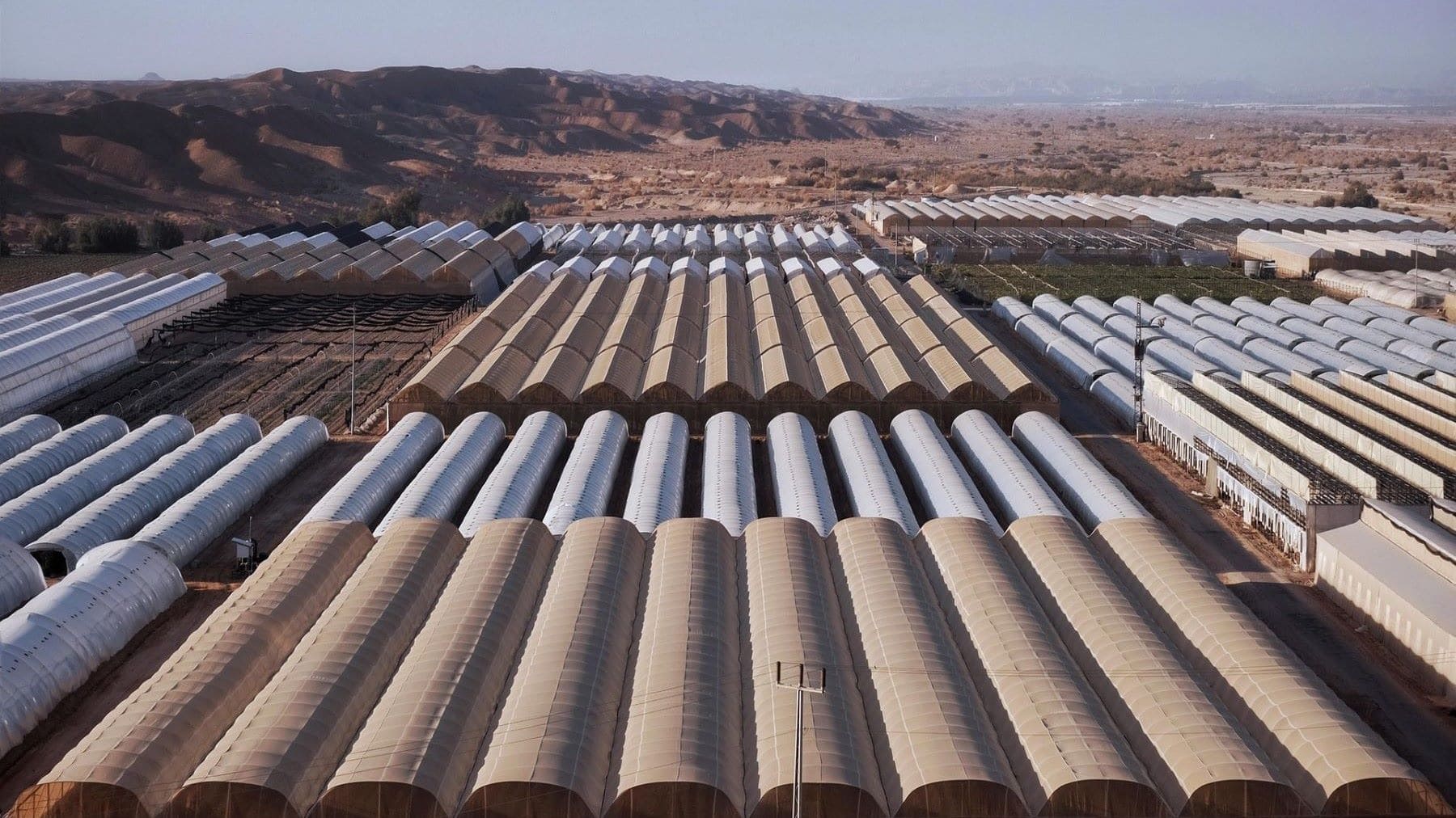 proyecto NutriLoop demuestra viabilidad del agua regenerada para riego agrícola