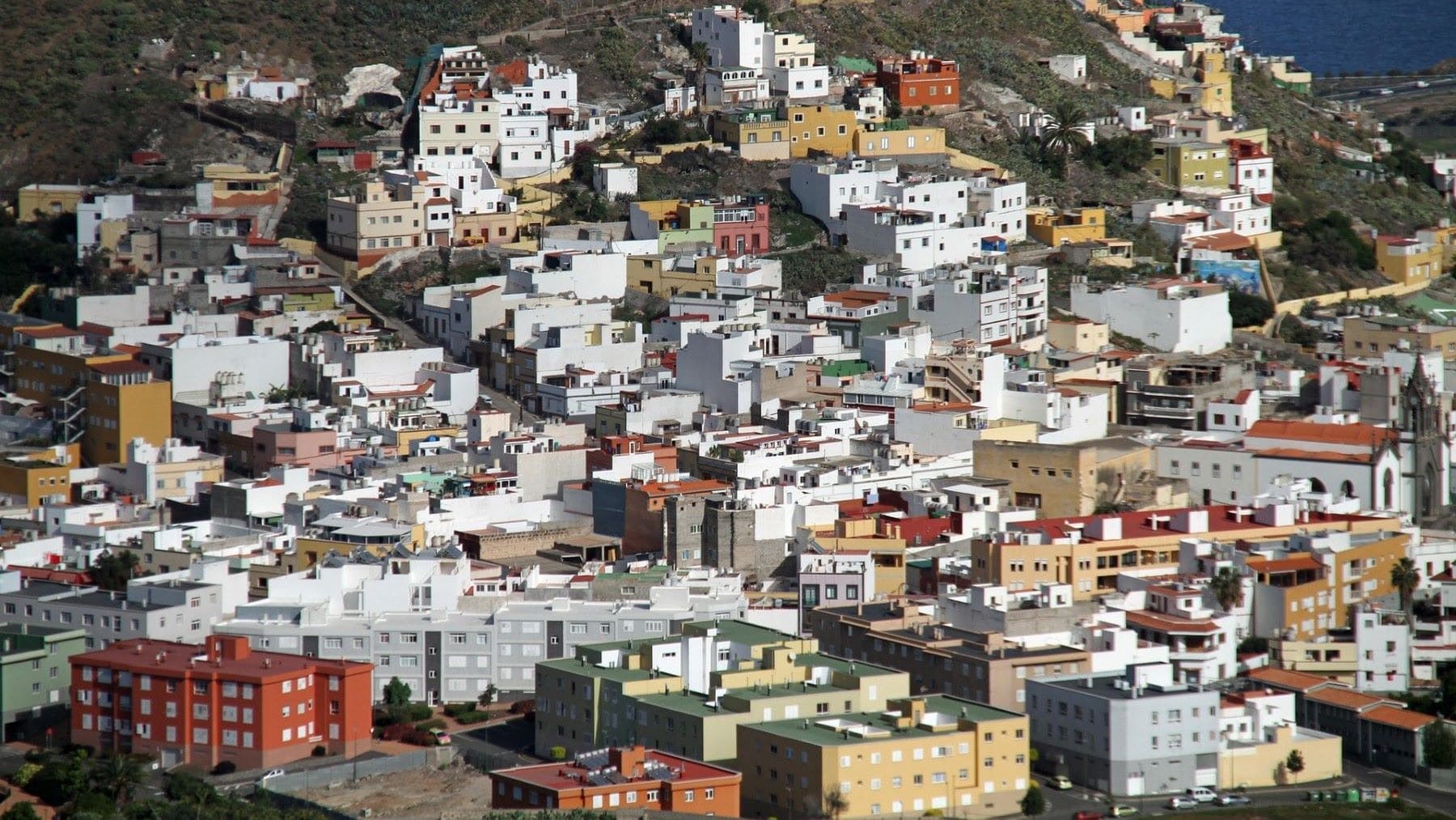 SEO BirdLife alerta del riesgo del Rally Islas Canarias para el pinzón azul en peligro de extinción