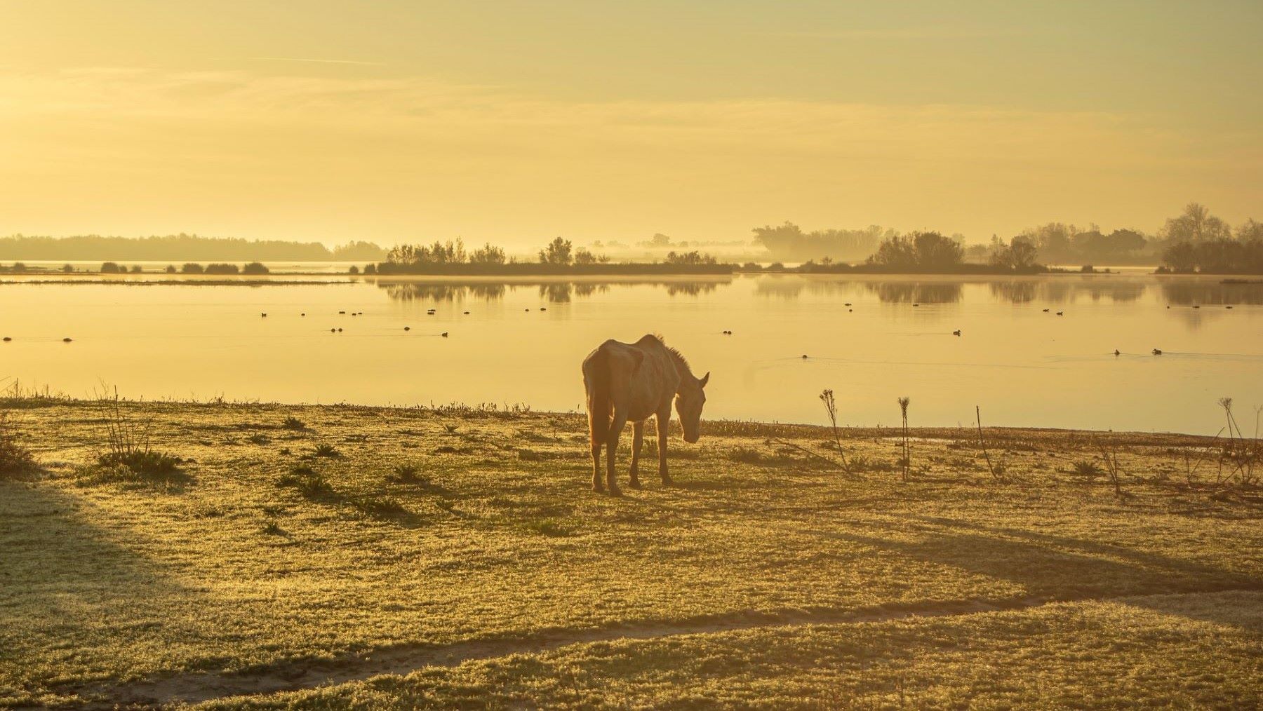 La minería sigue poniendo en riesgo Doñana 28 años después del vertido de Aznalcóllar