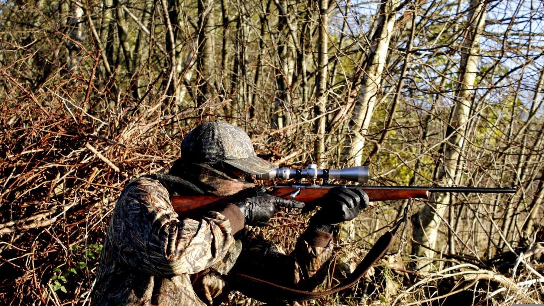 coto de caza en Viérnoles irregularidades graves