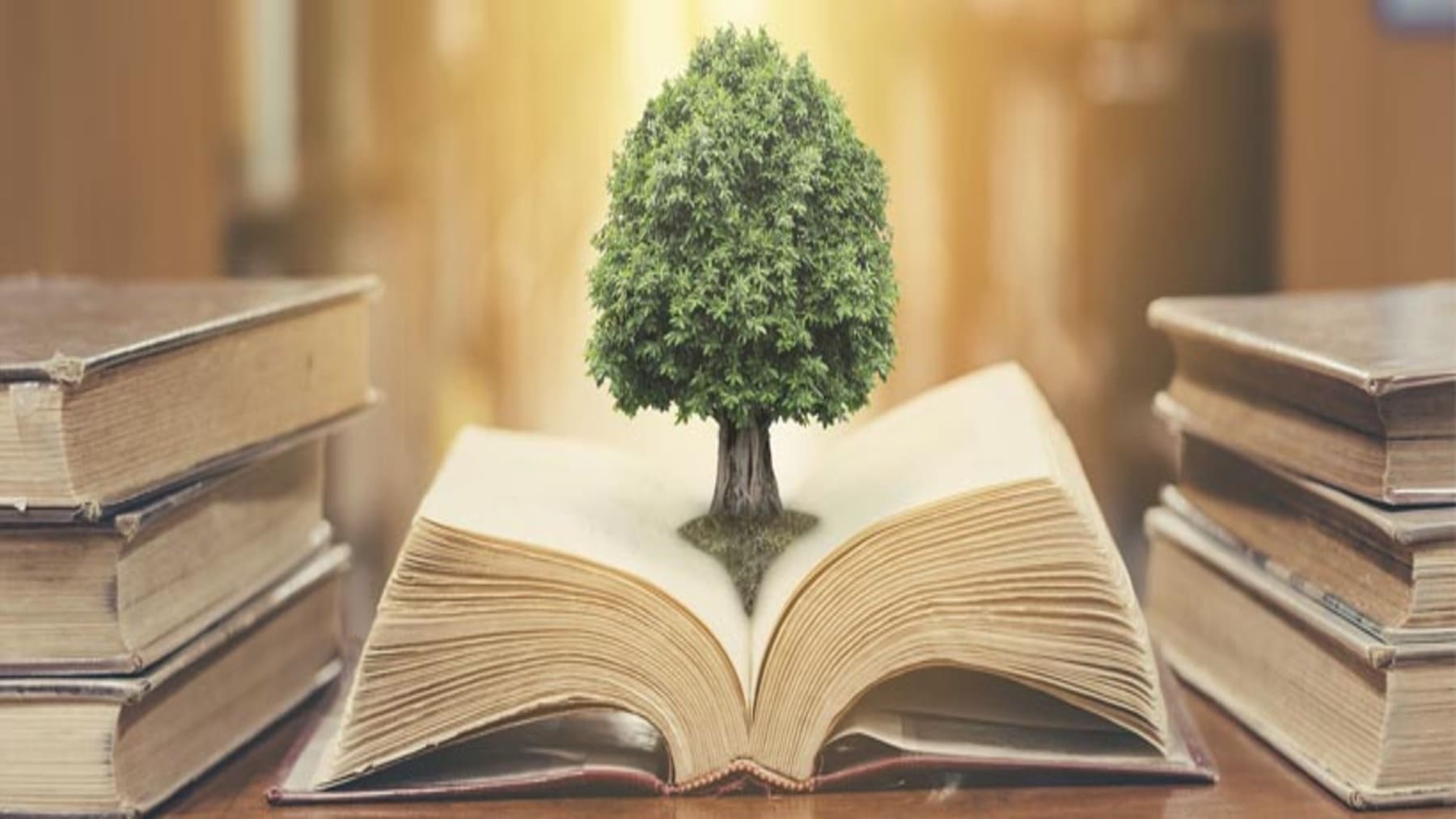 actualización del plan de educación ambiental en Baleares reunión institucional