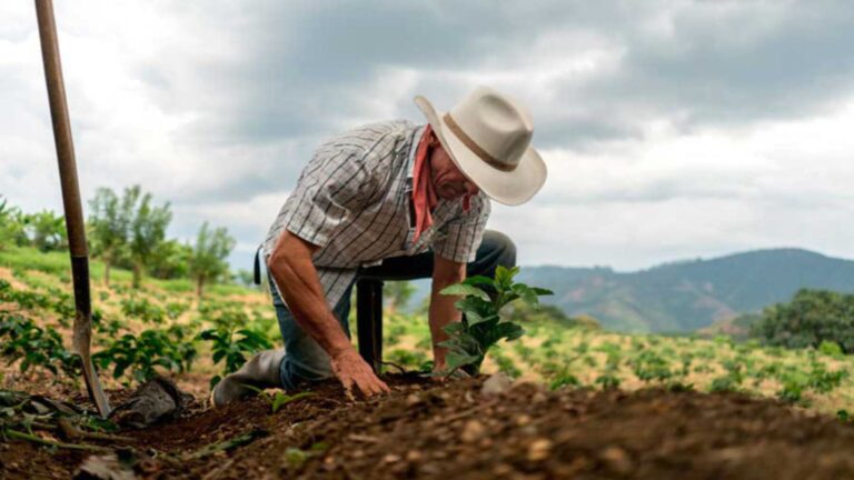 Día Mundial de la Lucha Campesina reivindica la soberanía alimentaria y la agroecología