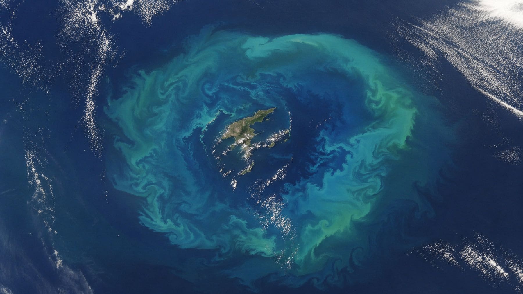 Anillo de fitoplancton captado por satélite alrededor de las islas Chatham en el océano Pacífico.