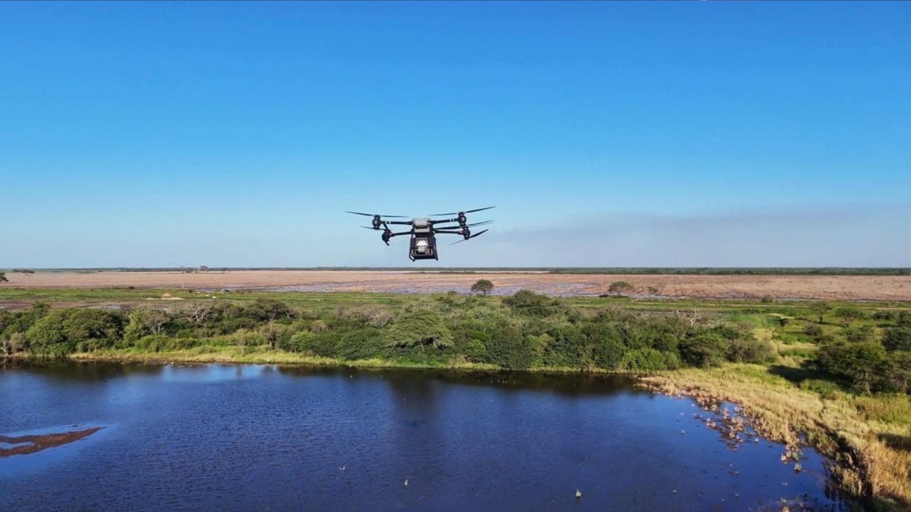 Dron sembrando semillas para reforestación en el Gran Chaco de Argentina.