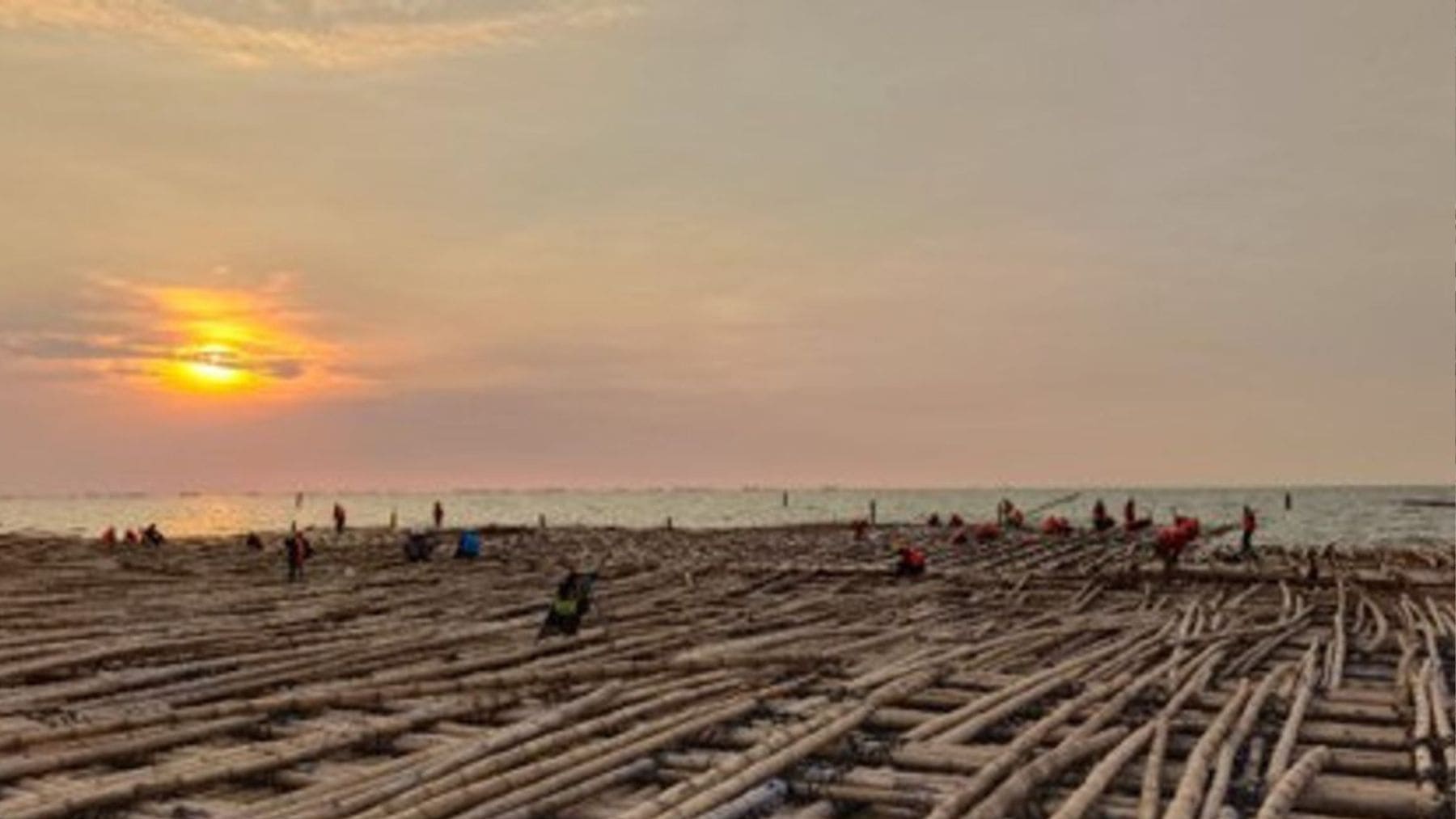 Construcción de autopista sobre el mar con base de bambú en Semarang Demak Indonesia.