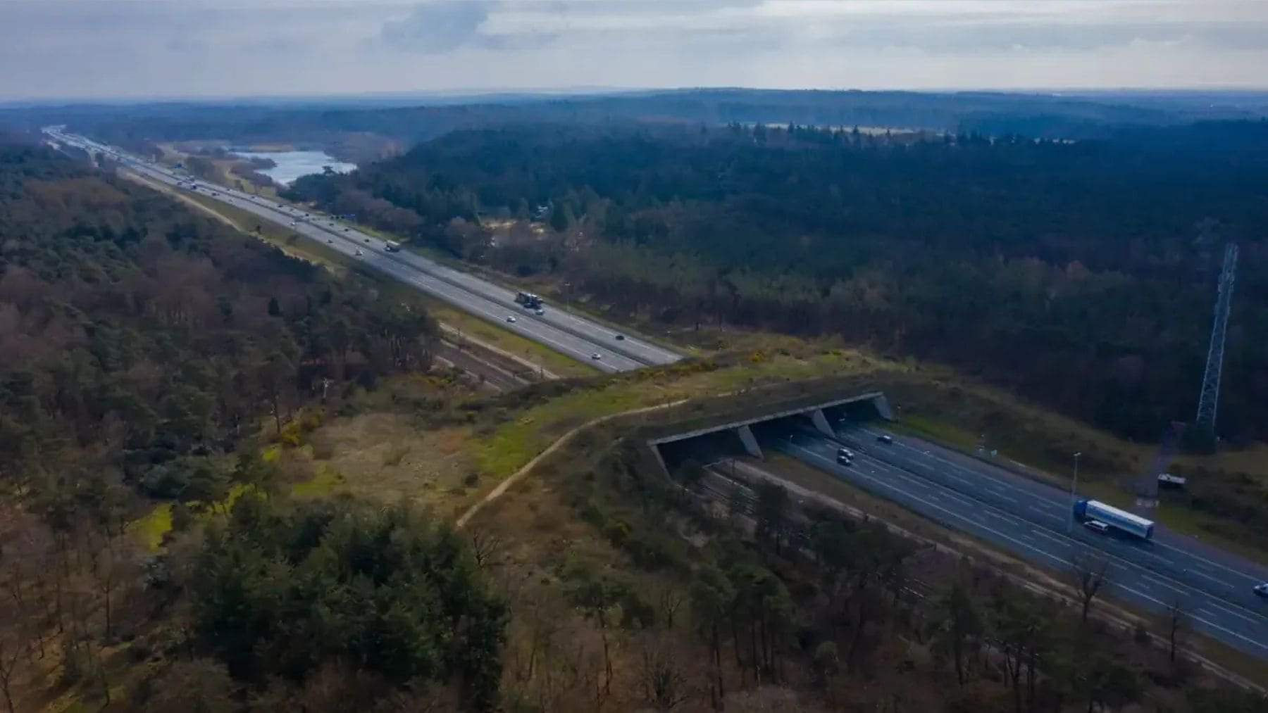 Ecoducto o puente verde para animales sobre una autopista similar al que se construirá en la M-607 en Madrid