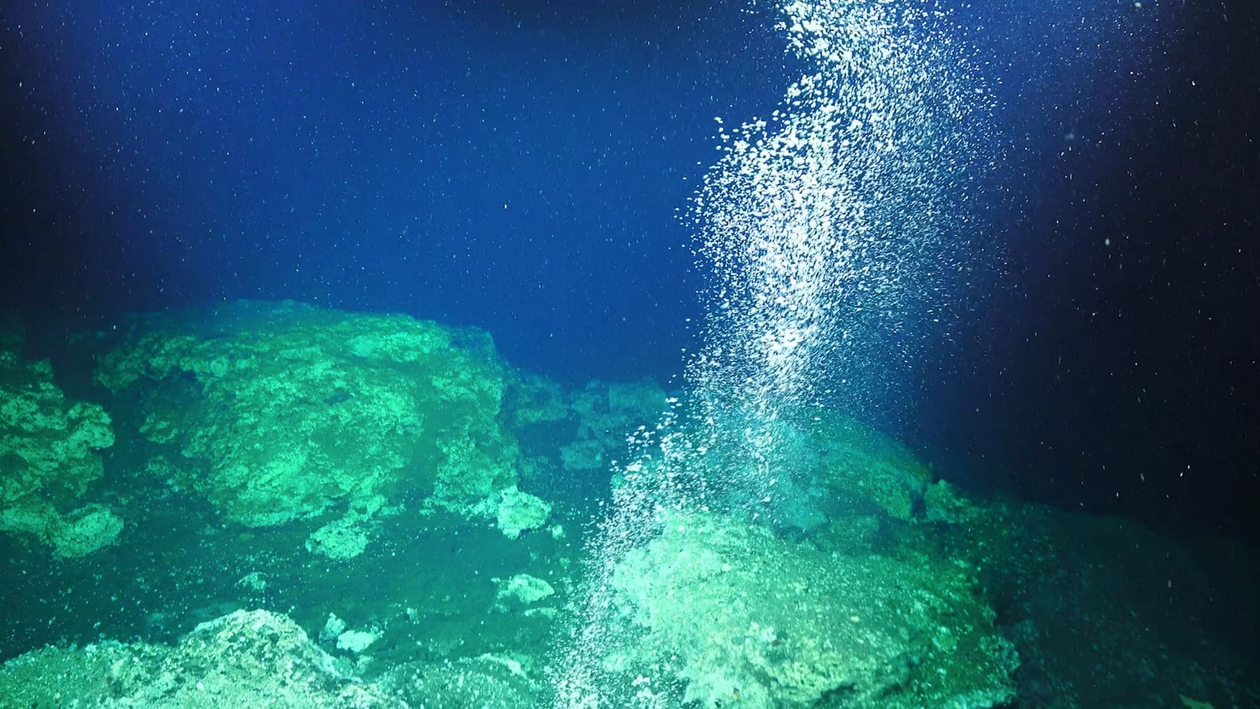 Emisión de fluidos en el fondo marino que transporta microorganismos desde una zona de subducción oceánica.
