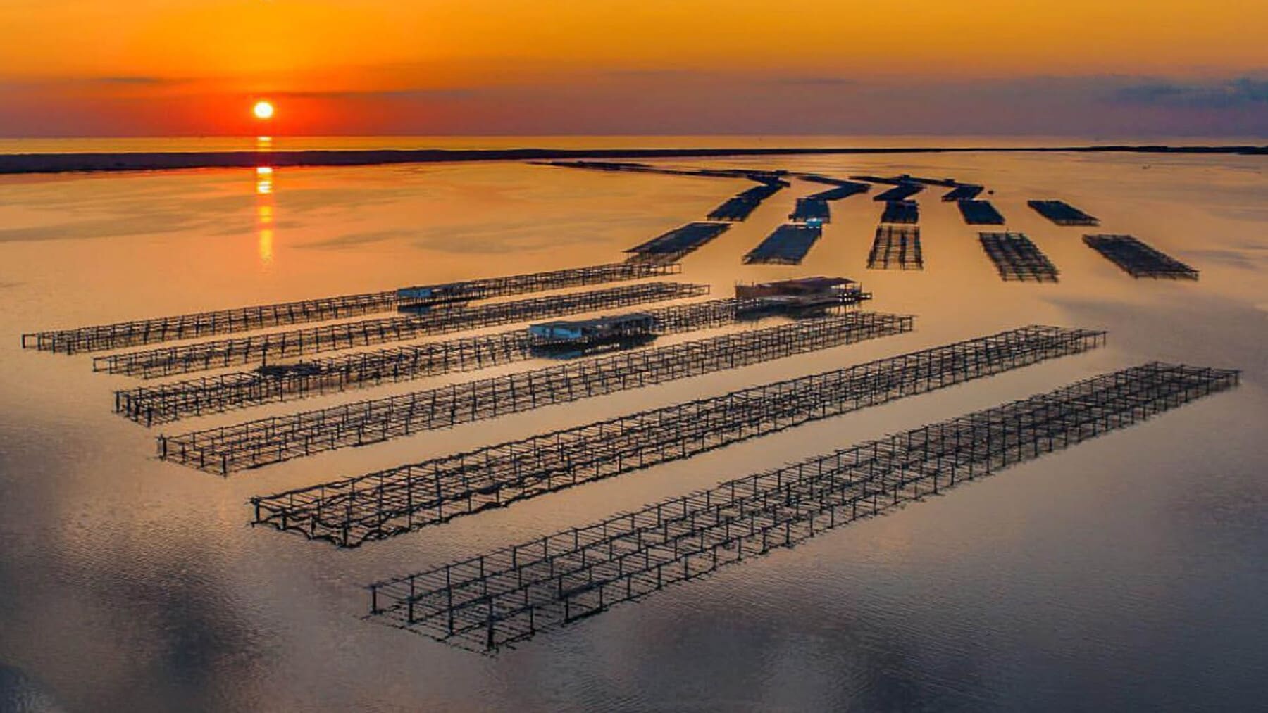 Cataluña impulsa la descarbonización del marisco en el delta del Ebro con un plan millonario para modernizar el sector