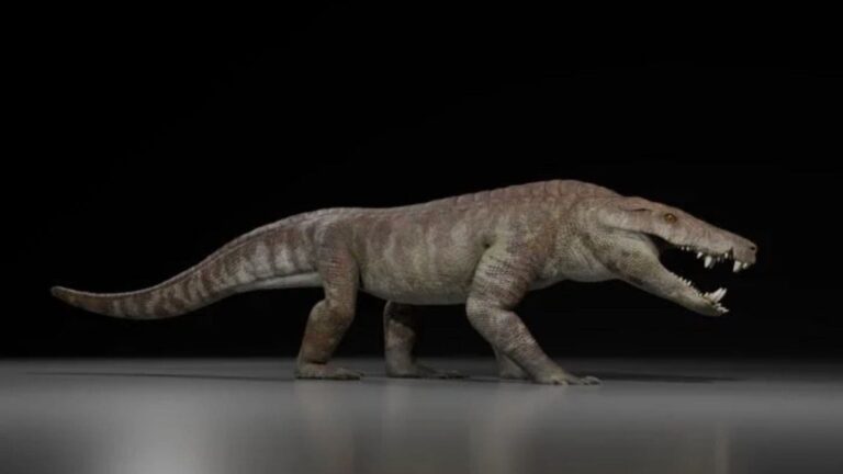 Recreacion de kostensuchus atrox cocodrilo prehistorico que cazaba dinosaurios en la patagonia