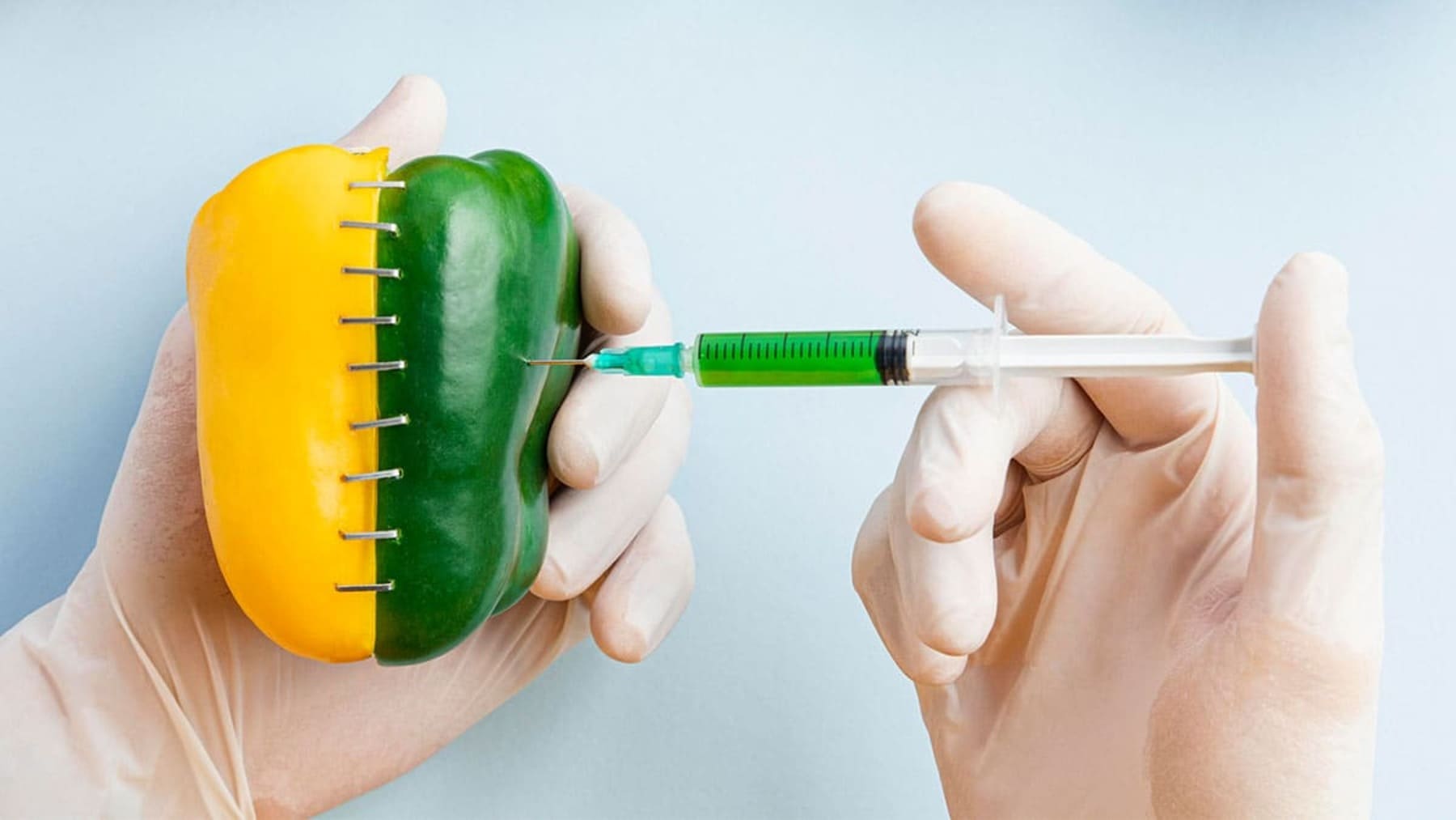 día internacional oposicion transgenicos riesgos salud medio ambiente agricultura cultivos omg