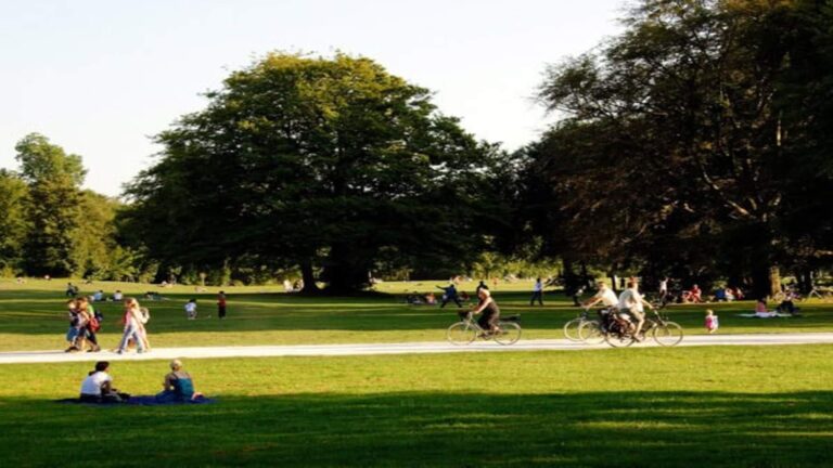 el biomaratón internacional de primavera invita a descubrir la biodiversidad urbana en todo el mundo observación urbana
