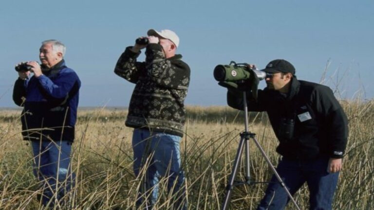 Observación de aves en Cáceres