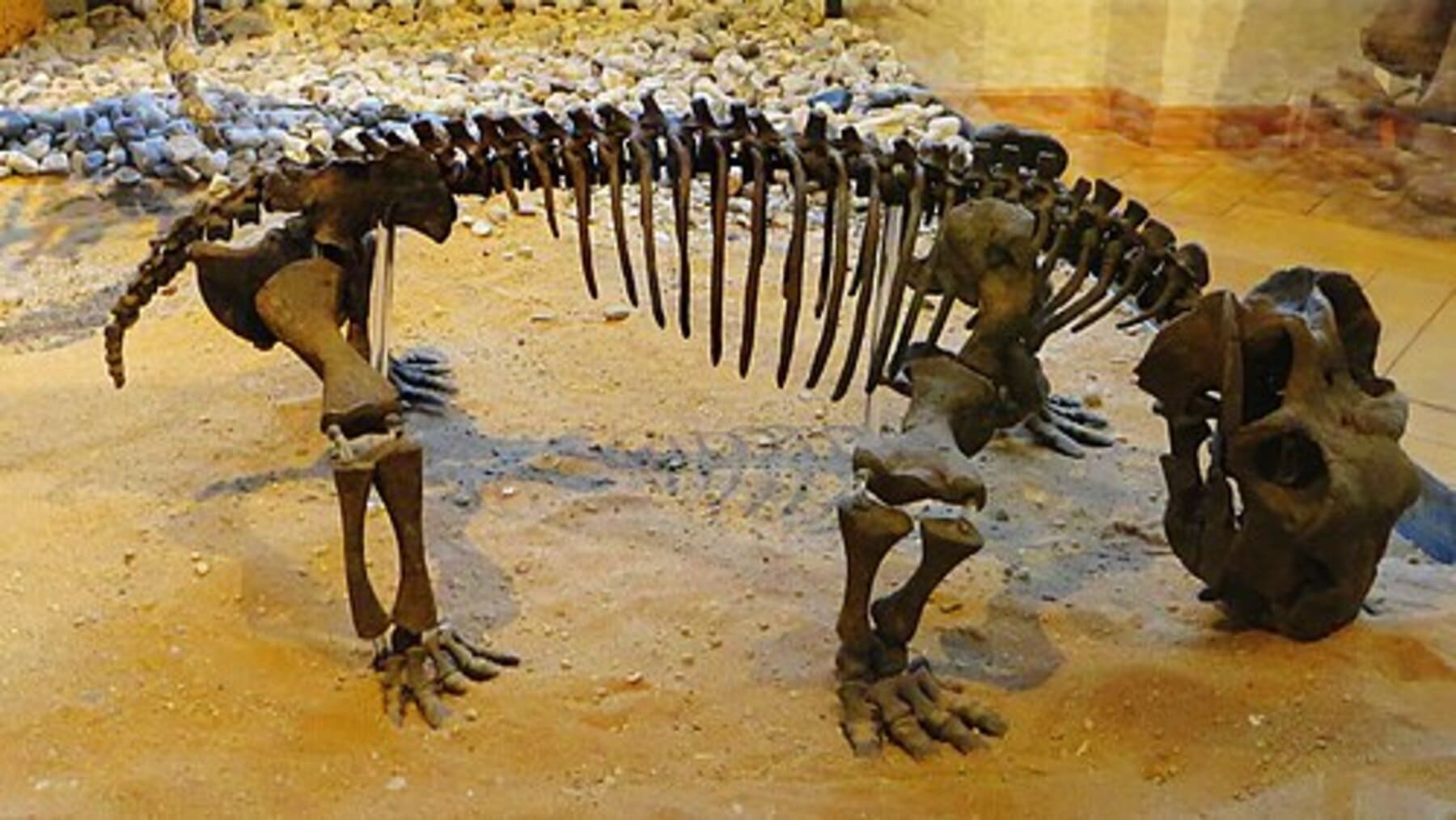 El huevo fósil de Lystrosaurus demuestra que los antepasados de los mamíferos ponían huevos