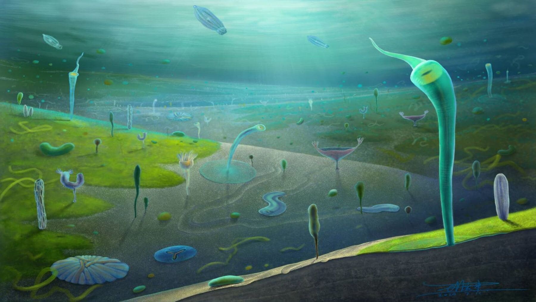 Descubren que los animales complejos surgieron antes de la explosión cámbrica en China