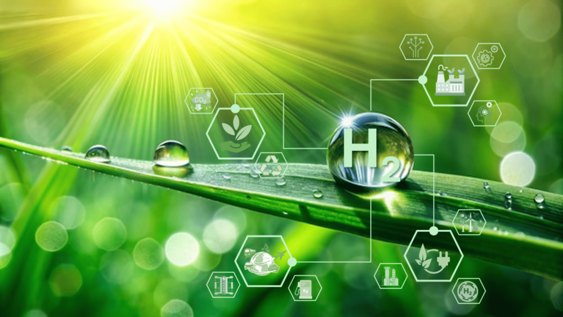 hidrógeno verde a partir de residuos orgánicos ya es posible laboratorio BioPhoto