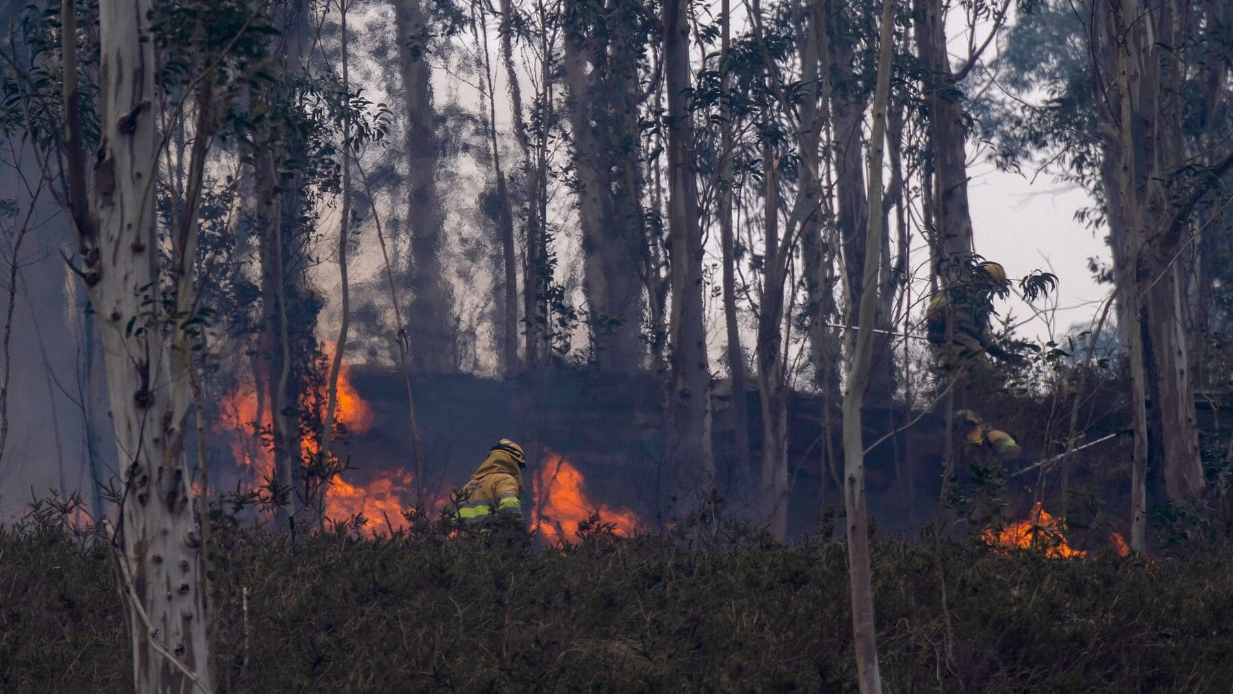 Cantabria registra 26 incendios forestales activos y riesgo extremo hasta el viernes en montes