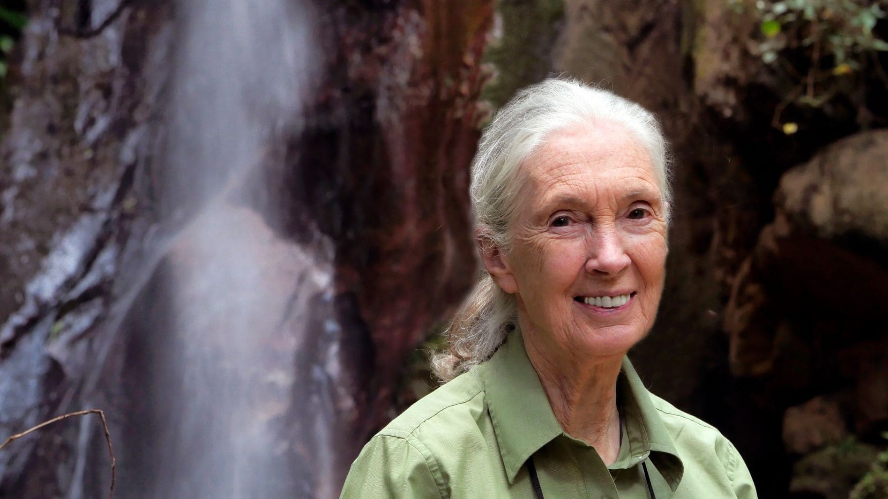 Jane Goodall, primatóloga, en imagen reciente hablando sobre el impacto de nuestras acciones en el medio ambiente.