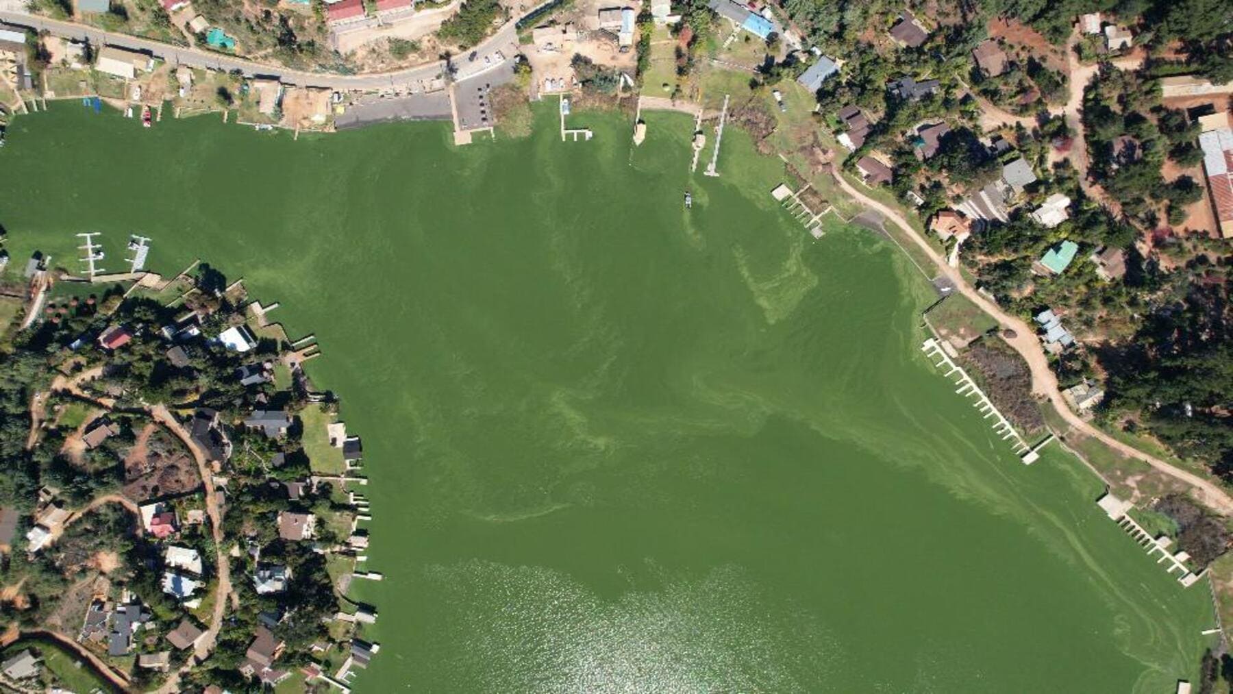 Lagos de Chile se contaminan y agravan la crisis hídrica tras años de mala gestión con agua degradada